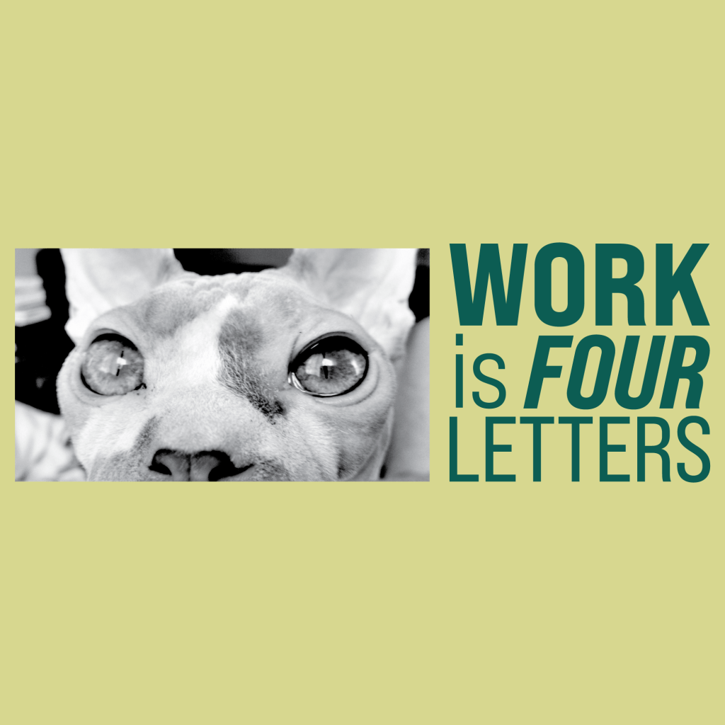 Kathryn | Emergency&nbsp;Vet