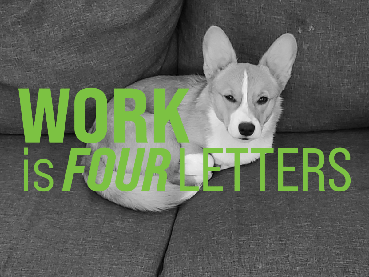 Joe | Software&nbsp;Developer