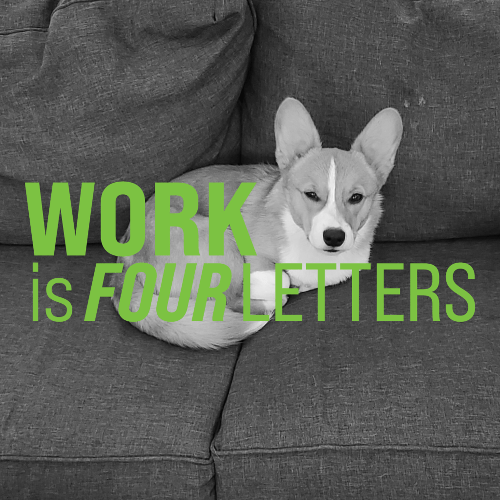 Joe | Software&nbsp;Developer