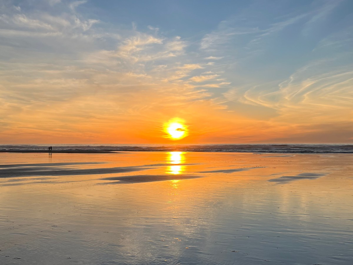 2025 in the&nbsp;Rearview